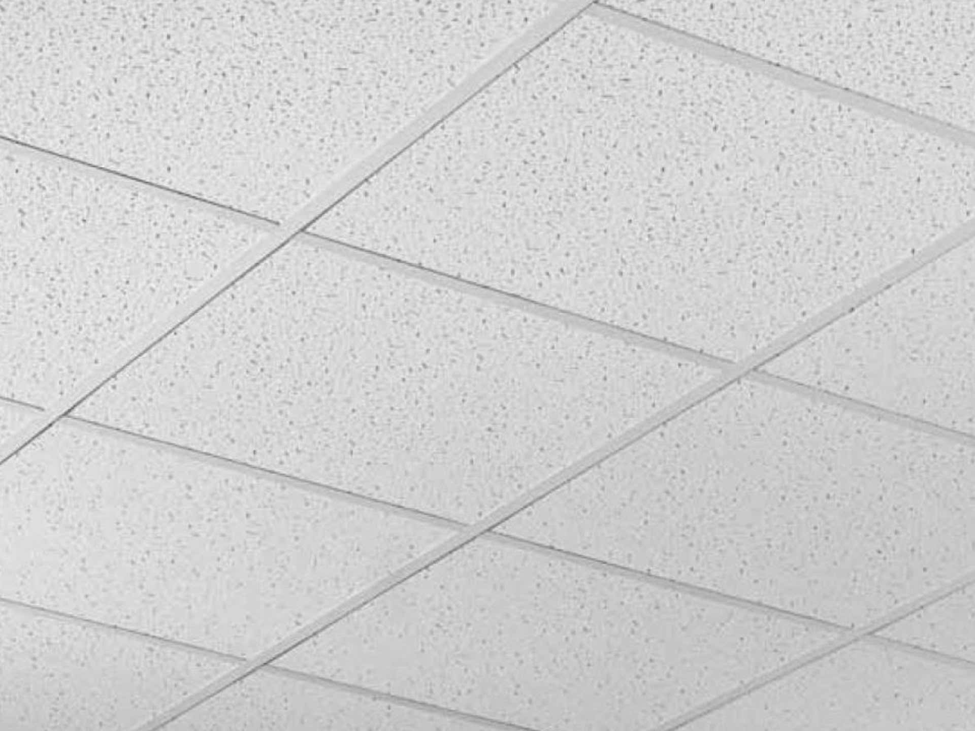 Taşyünü Tavan ile Üstün Akustik ve Dayanıklılık