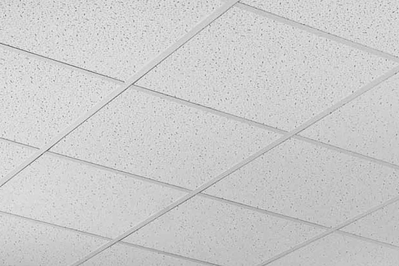 Taşyünü Tavan ile Üstün Akustik ve Dayanıklılık